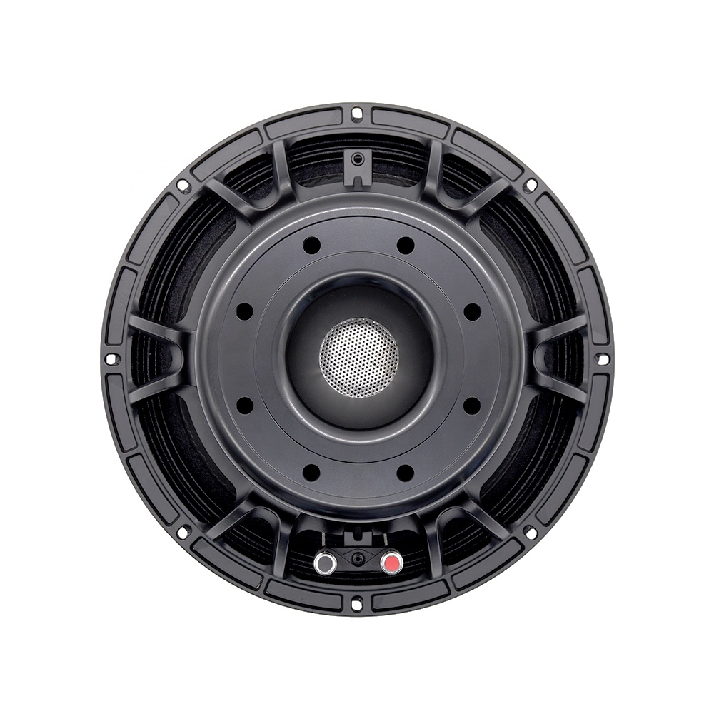 12DS Pro Audio Equipment 12''  - Audio & Music Xbox recension och pris